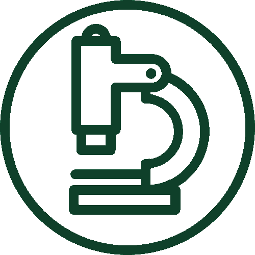 JORNADA ONLINE DE FORMACIÓN EN REHABILITACIÓN DE LA MANO