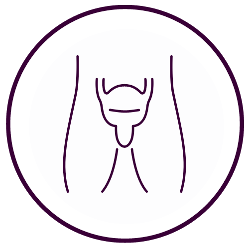 Suelo Pélvico Masculino